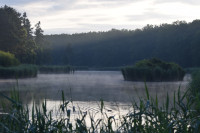 Gołuchów - Park & Arboretum